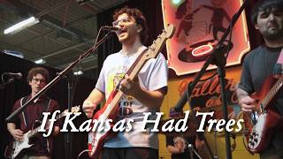 If Kansas Had Trees | Record Store Day 2026 at Gallery of Sound | Wilkes-Barre, PA