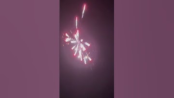 8 shots Firework🎆🎇 #fireworks #pyrotechnica #pyroworld #pyro #viralvideo
