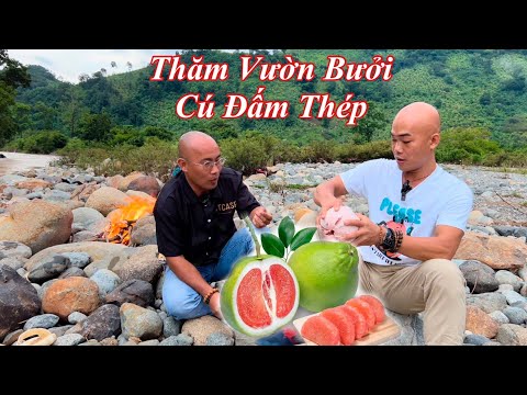 Video Ngất ngây trước vẻ đẹp tuyệt vời VƯỜN NHÀ CÚ ĐẤM THÉP - youtube