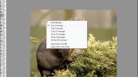 How to Access Tool-specific Menus in Photoshop or PSE