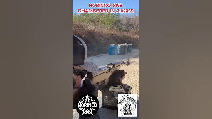 NORINCO SKS RIFLE ORIGINAL SHORT!🔥💯 #shorts #shooting #shortsfeed #shortvideo #review #range