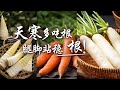 都说“药补不如食补” 冬季养生多吃这些根茎食物！| CCTV科教