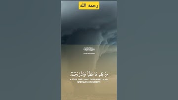 "✨ تلاوة خاشعة تأخذك إلى عالم آخر | من سورة الشورى بصوت الشيخ سعد الغامدي 🌿"