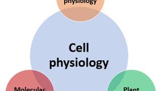 Cell physiology | Wikipedia audio article