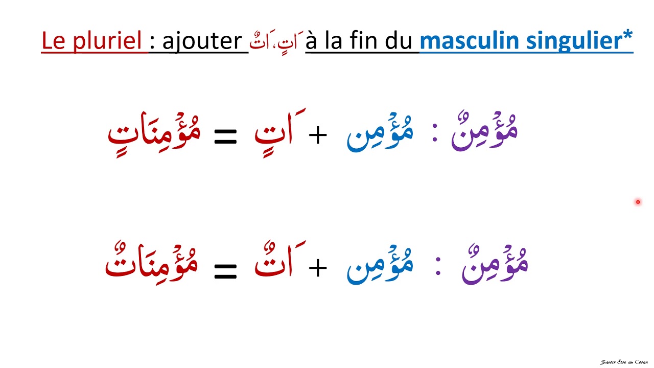 1 6 b le féminin duel et pluriel