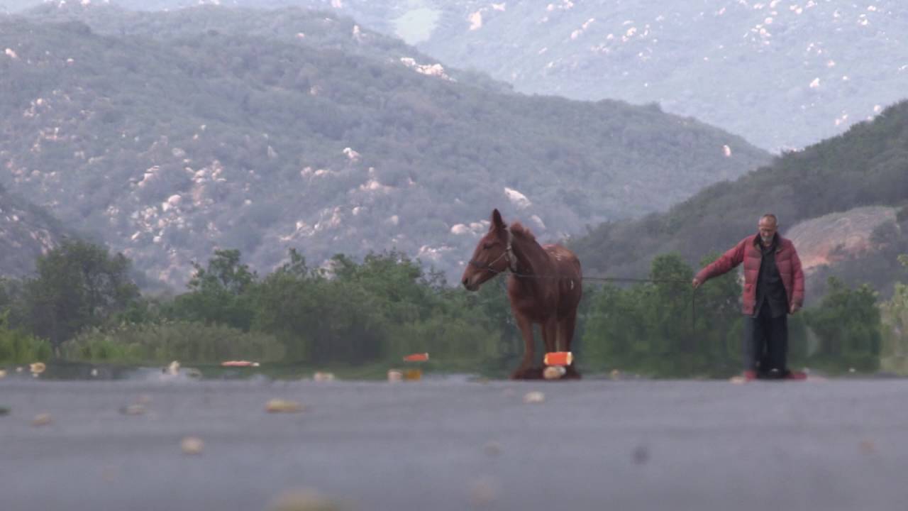 Put Out To Pasture YouTube put-out-to-pasture-youtube