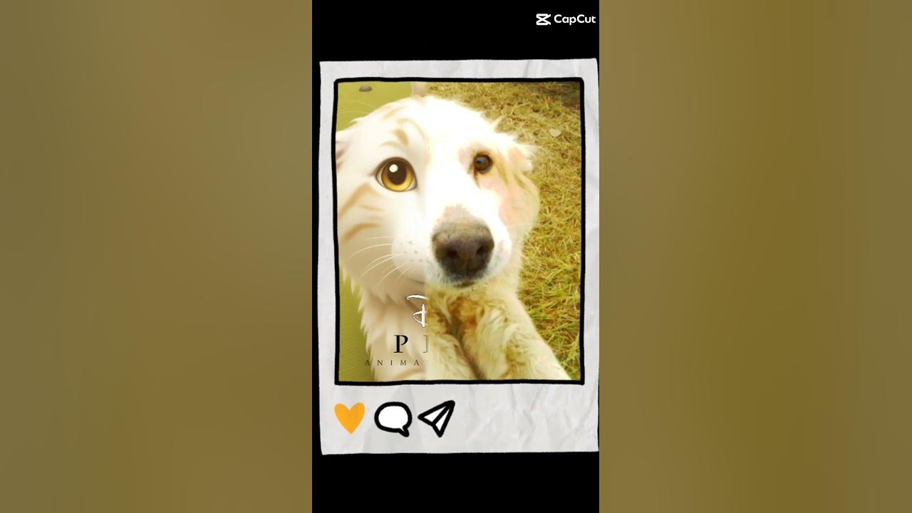 My dog as a disney pixar character pixar disney shorts viral fyp