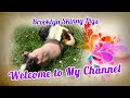 Welcome to my channel  brooklyn skinny pigs