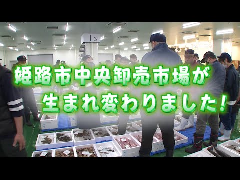 非売品　前掛け　姫山　椎茸　姫路市中央卸売市場 非売品 前掛け 姫山 椎茸 姫路市中央卸売市場