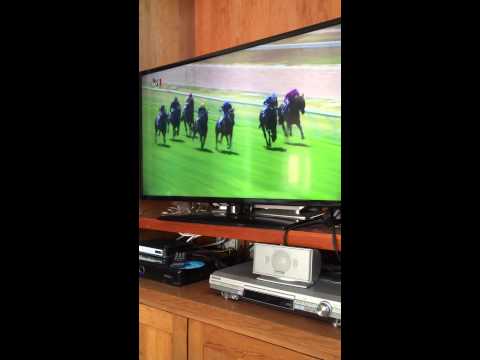 funny-australian-race-call-ahhhh-yawning-melbourne-seymour-horse-racing