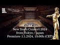  new years concert 2024  vienna johann strauss orchester  premiere 1124 15h on youtube