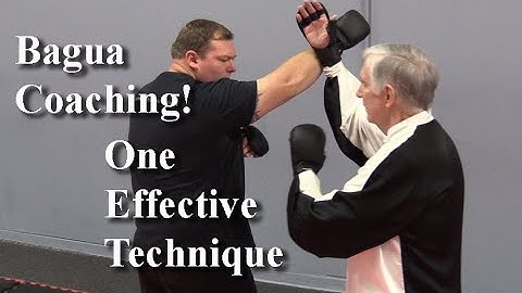 Bagua Technique vs Punch