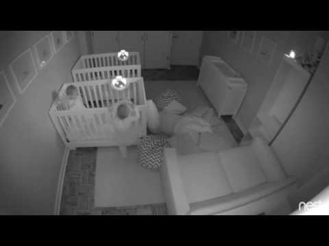 მშობლებმა თვალებს არ დაუჯერეს, მას შემდეგ რაც 2 წლის ტყუპების საქციელს უყურეს