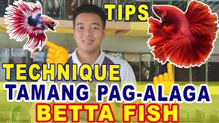 PROPER CARE OF BETTA FISH | TIPS AND TECHNIQUE | VLOG # 45