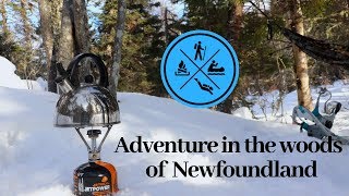 Adventure in the woods of Newfoundland