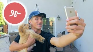 BEST PUPPY MUSICALLY EVER!