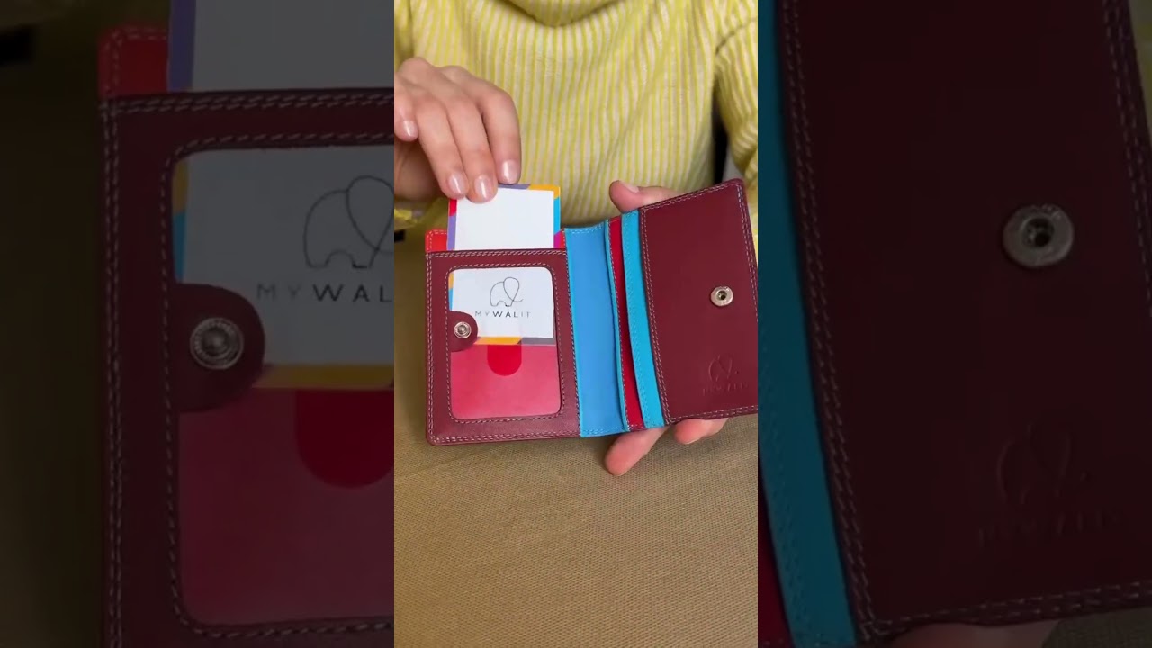 【DE MERIEL】Multi Card Holder 3Colors Slim Credit Card Holder with Coin Purse Sangria Multi | All