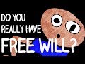 The Physics of Free Will