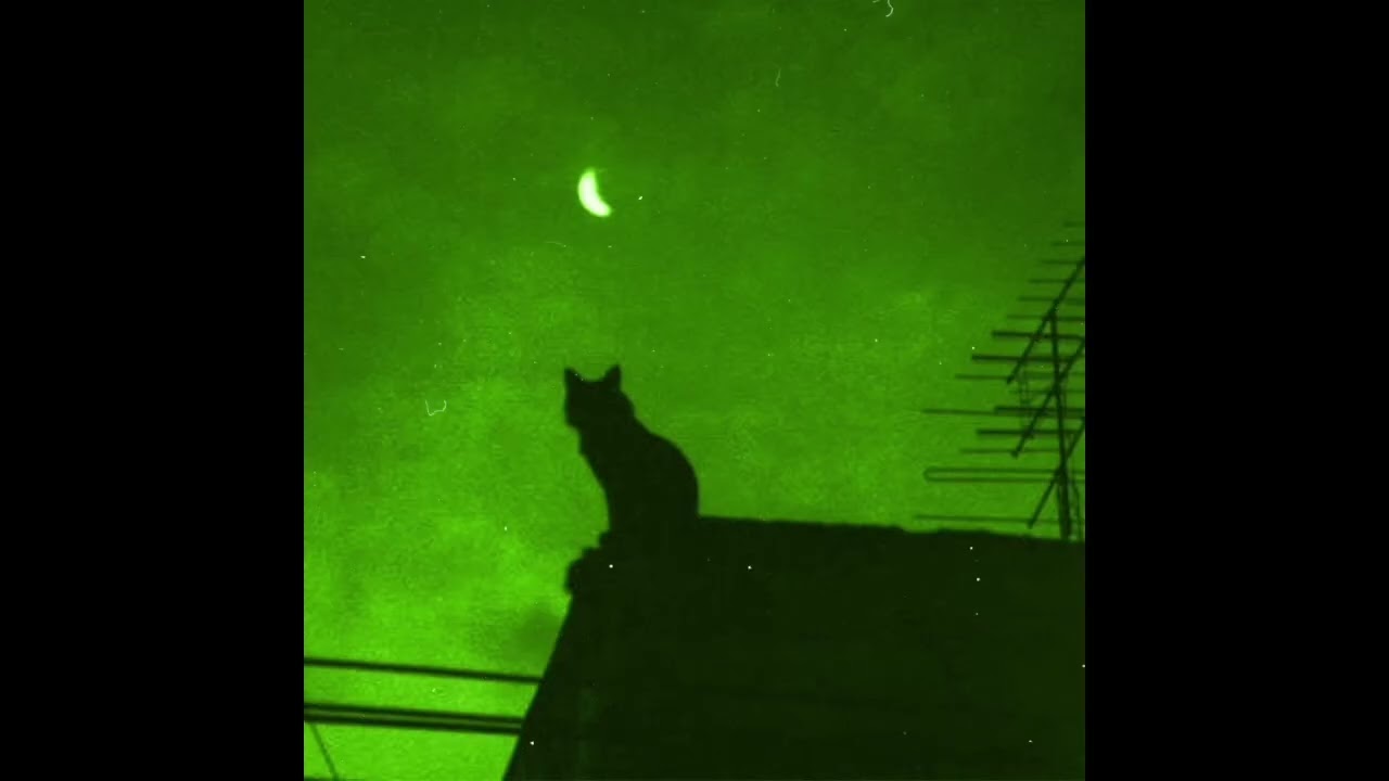 (free) lofi type beat - vibras (prod. yusei)