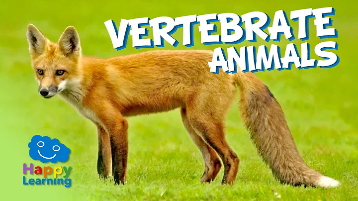 Vertebrate Animals | Educational Video for Kids