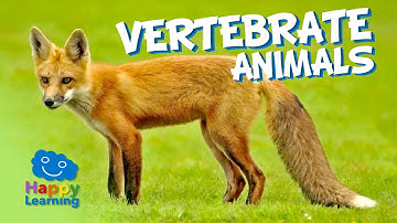 Vertebrate Animals | Educational Video for Kids