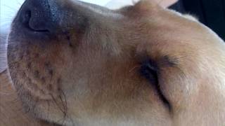 VID-20120924-00016