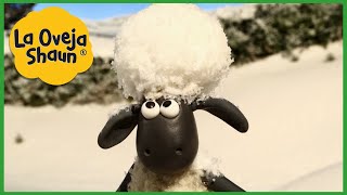 La Oveja Shaun  Oveja de las nieves  Dibujos animados para niños