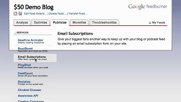 How To Set Up Your WordPress Blog With A Feedburner Feed And Email Subscriptions - $50 Blogs