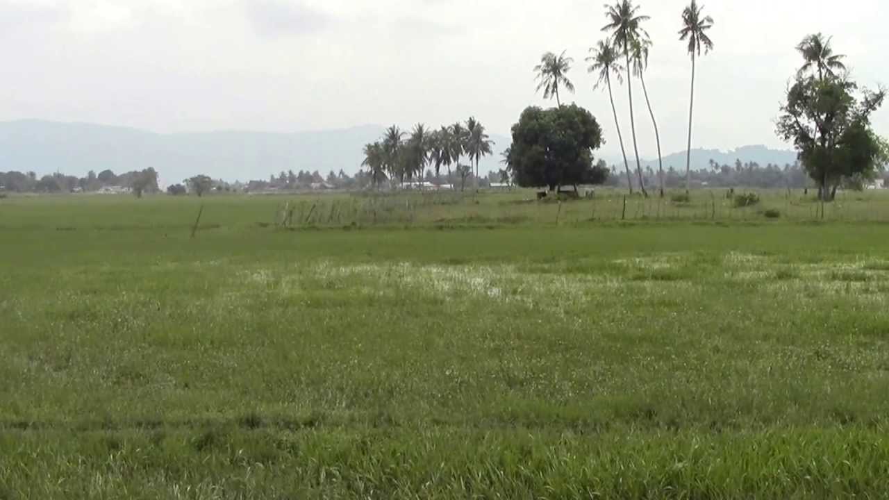 Tanah dekat pantai cenang langkawi untuk dijual 
