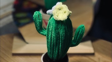 Hướng dẫn làm cây xương rồng bằng kẽm nhung - How to make cactus