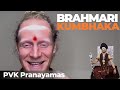 How to Do Brahmari Kumbhaka || Nithyananda Yoga Pranayama&#39;s