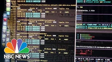 AI ‘race to recklessness’ could have dire consequences, tech experts warn in new interview