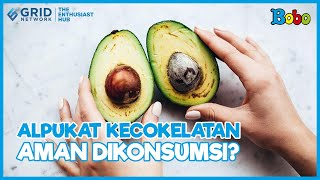 Apakah Aman Buah Alpukat Kecoklatan untuk Dikonsumsi?🥑