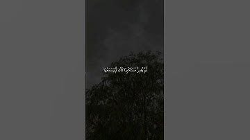 سورة الجاثية|8|القارئ:#ياسر_الدوسري#قران #quran #راحة_نفسية #قران_كريم  #تلاوة_هادئة