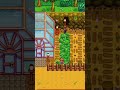 Decorate my farm with me ✨ Standard farm #stardewvalley #farmlayout #cozygaming #stardew