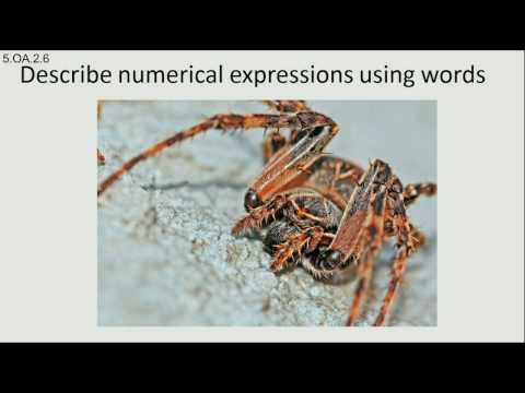 Describe mathematical expressions with words 5.OA.A.2