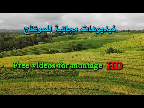 فيديوهات بدون حقوق للمونتاج   6 