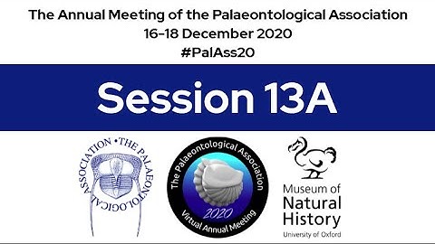 #PalAss20 Session 13A
