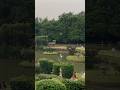 Okayama Friendship Garden Pune #shortvideo #garden #yt