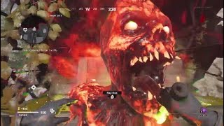 Raygun jump scare (CALL OF DUTY COLD WAR)