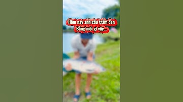 Bật mí mồi ngâm ốc câu trắm đen hay...#thinhcaudailk #huthinhcaudailk