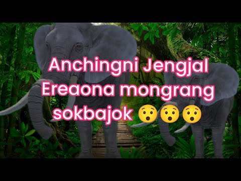(Vlog Video)Ching Jengjal Ereaona mongrang sokbajok aio bilongen kenisajok ripengrang niangbo (Vlog Video)Ching Jengjal Ereaona mongrang sokbajok aio bilongen kenisajok ripengrang niangbo