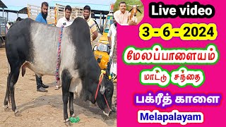 3 - 6 - 2024 / மேலப்பாளையம் மாட்டு சந்தை   Tamil Vivasayi தமிழ் விவசாயி is live