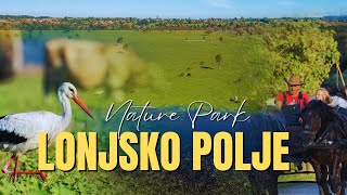 Lonjsko polje Nature Park, Croatia