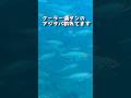 すごい海釣り公園!