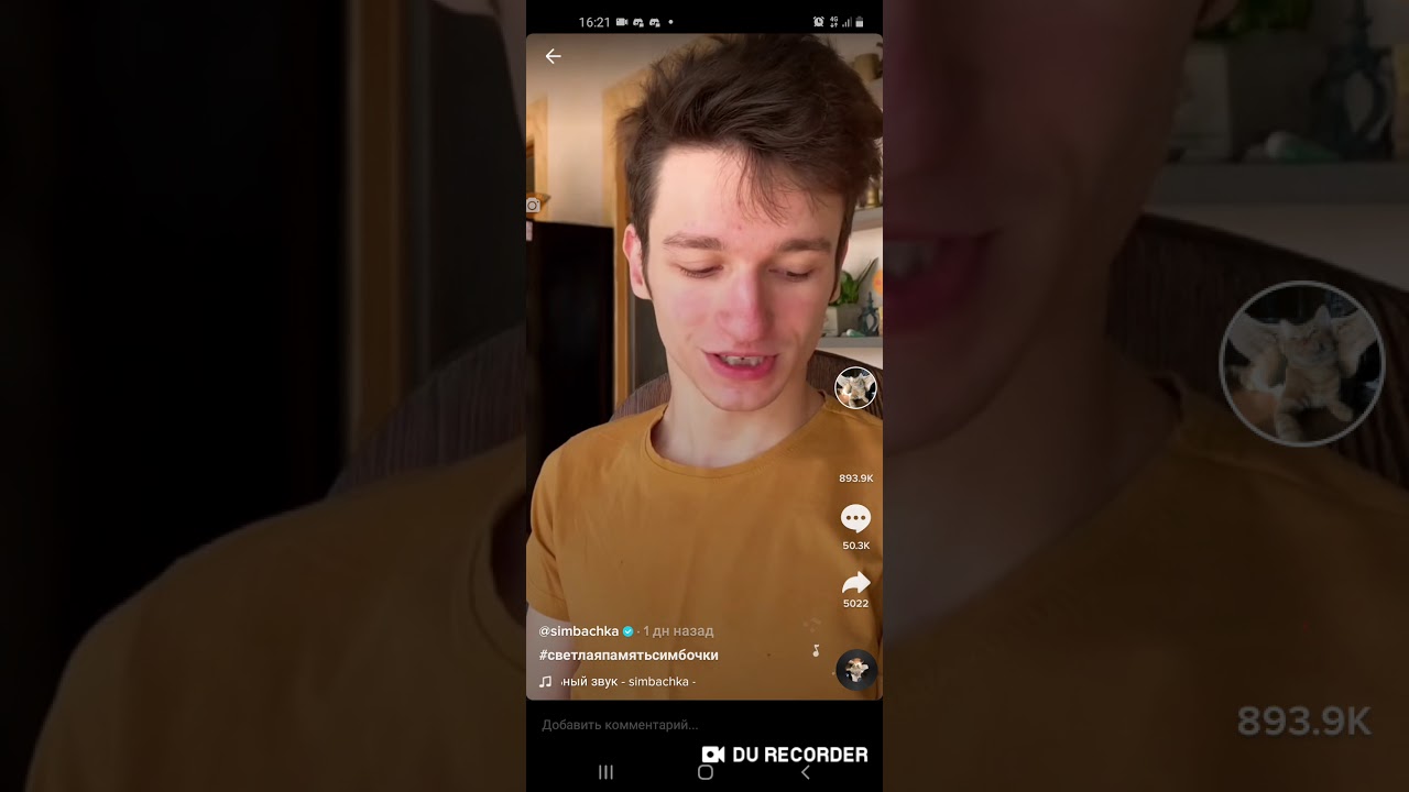 Данкар убил симбу картинки