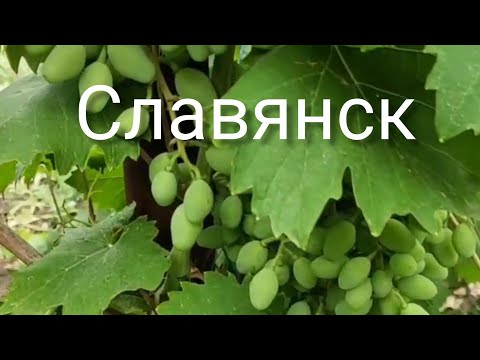 Славянск 12 Июля 2022 год