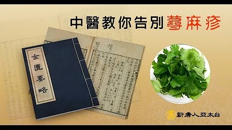 中醫教你告別蕁麻疹 醫聖張仲景特輯(9)│談古論今話中醫 - 天天要聞