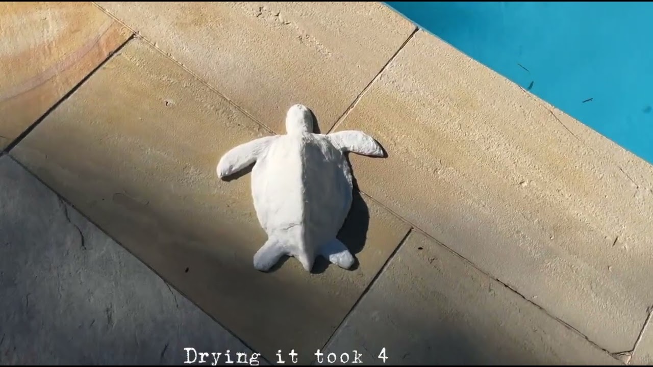 Come with me to make a paper mache sea turtle!