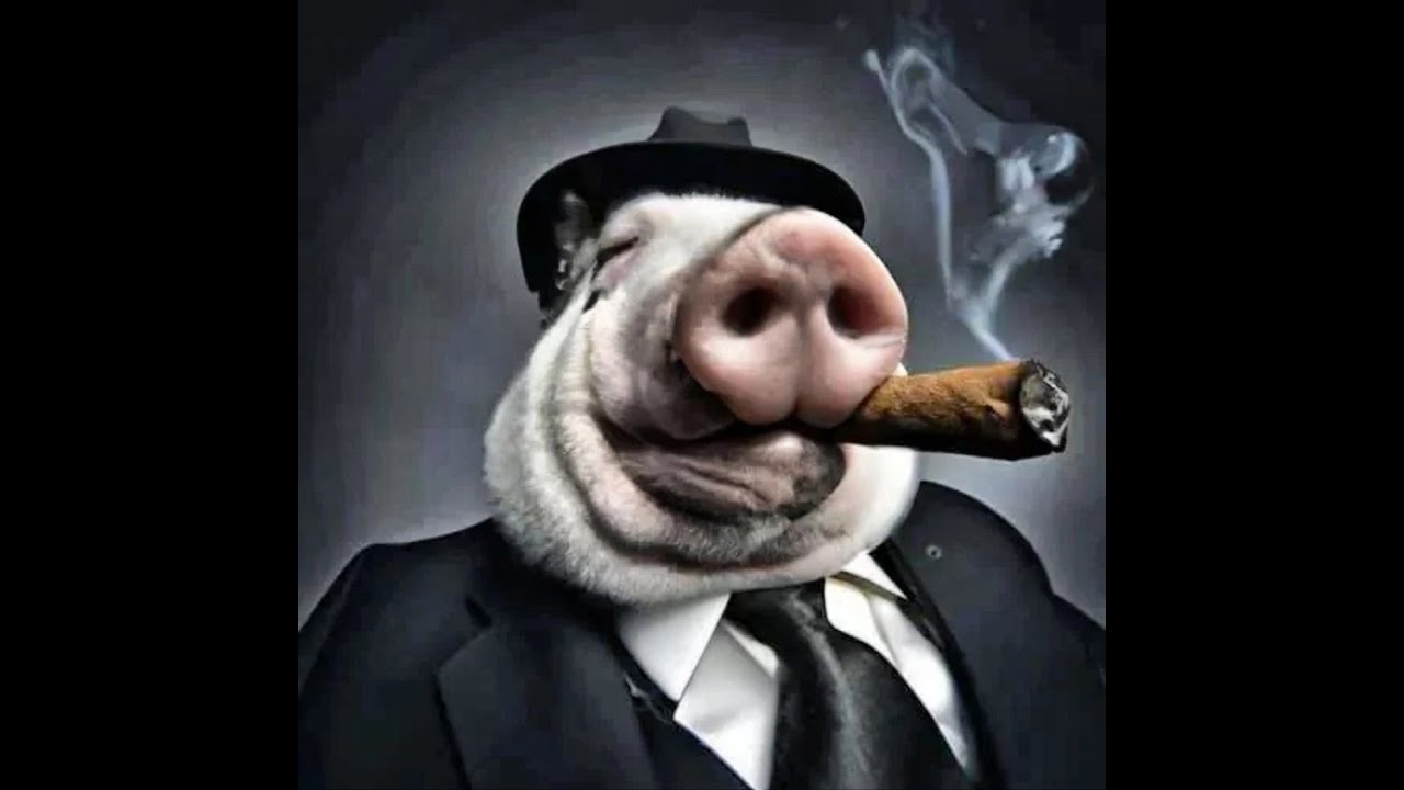 блеванул и спать (˶ᵔ ᵕ ᵔ˶)